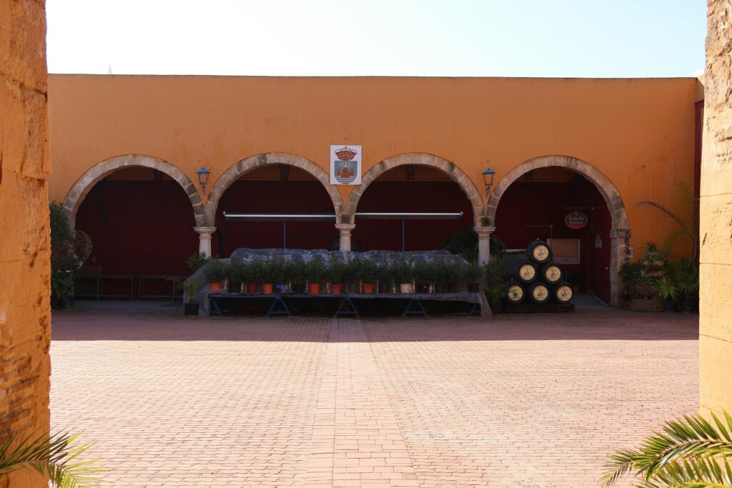 pexels el puerto de santa maria 2148829485 36482226