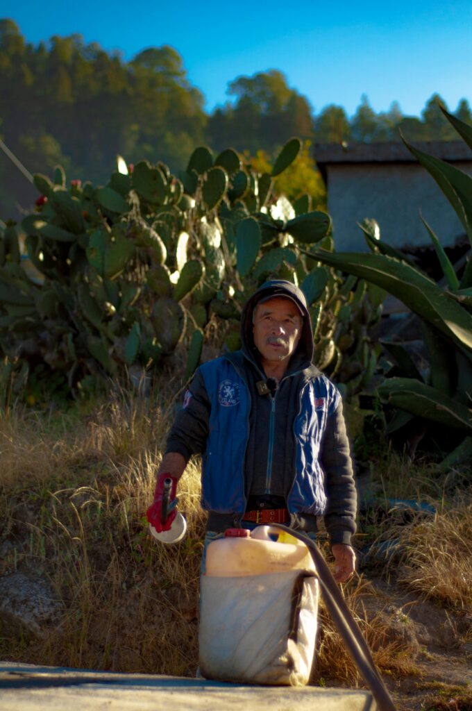 pexels jonathan badillo martinez 343620292 16975462