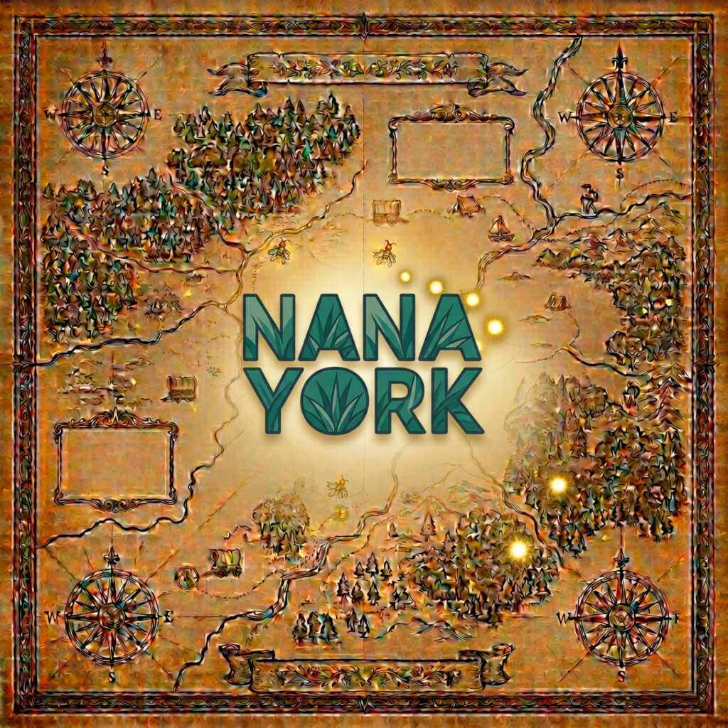 Tour Operadoras nana york